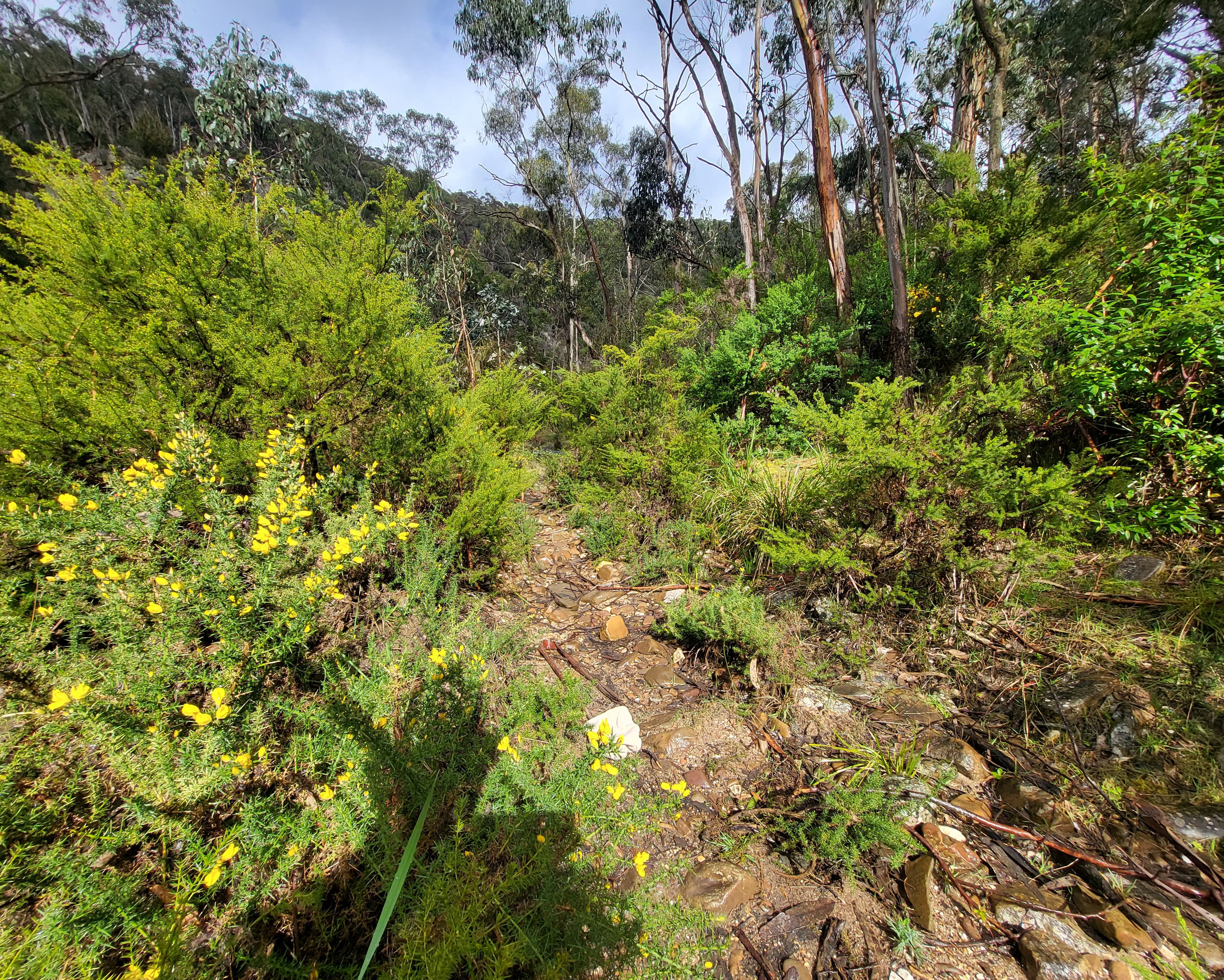 East Walk to Kangaroo Track Loop