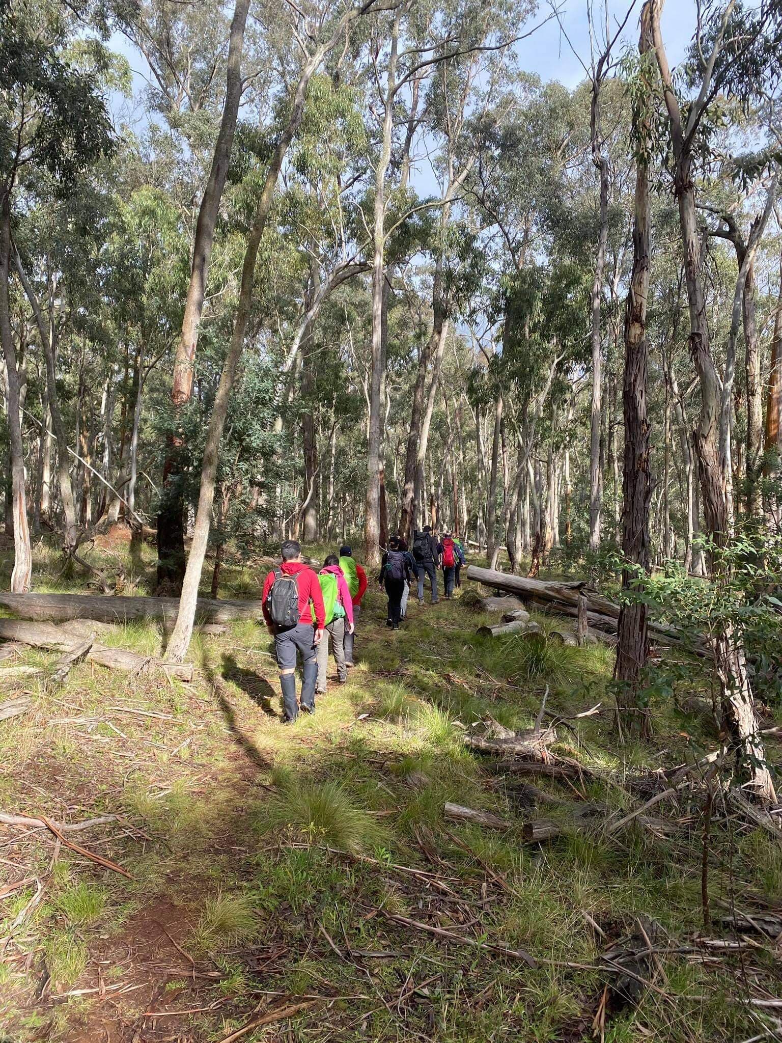 Bushwalking 587: Spargo Werribee River Circuit (15.7km)