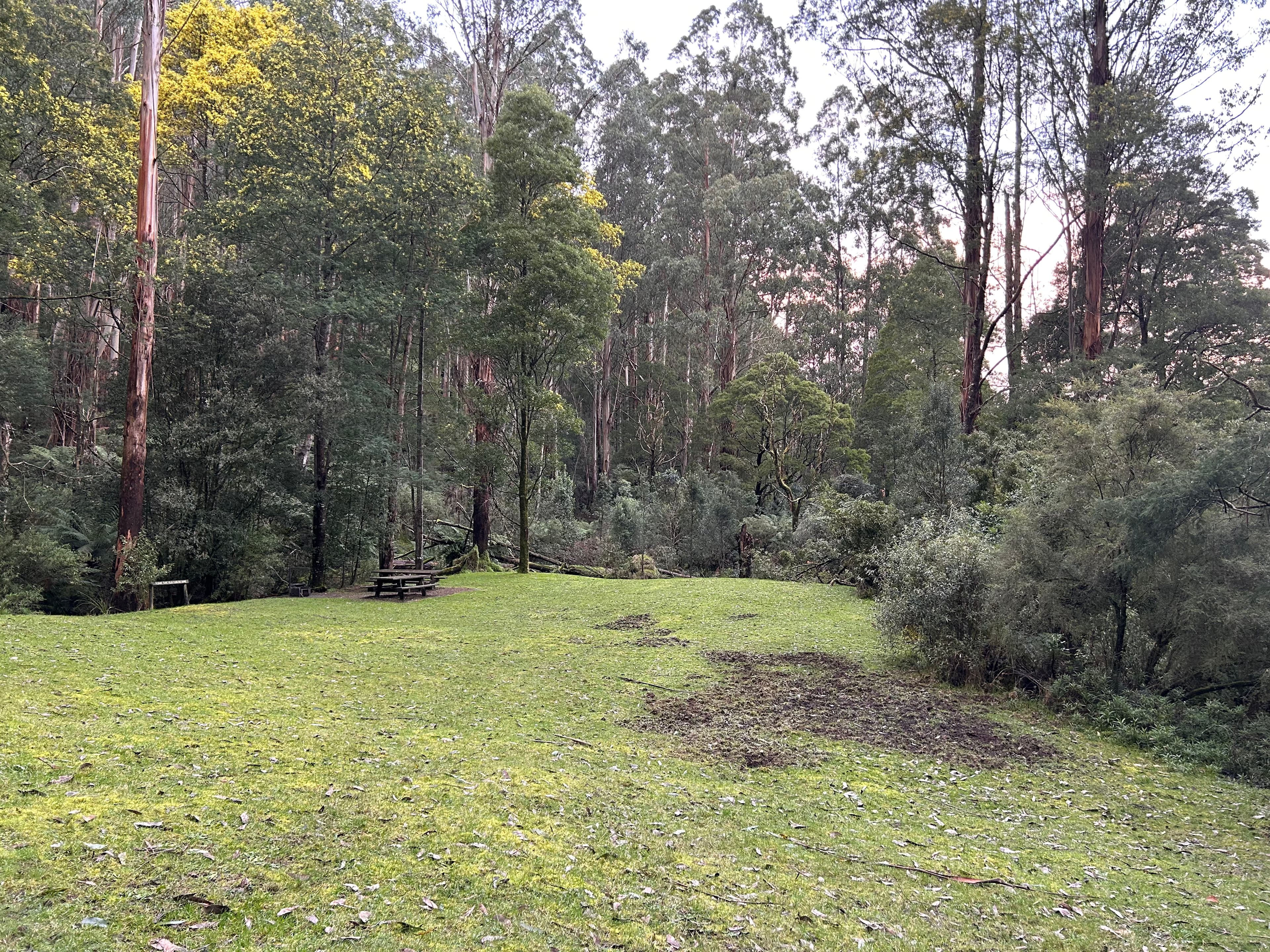 Kid friendly - Mount Worth State Park