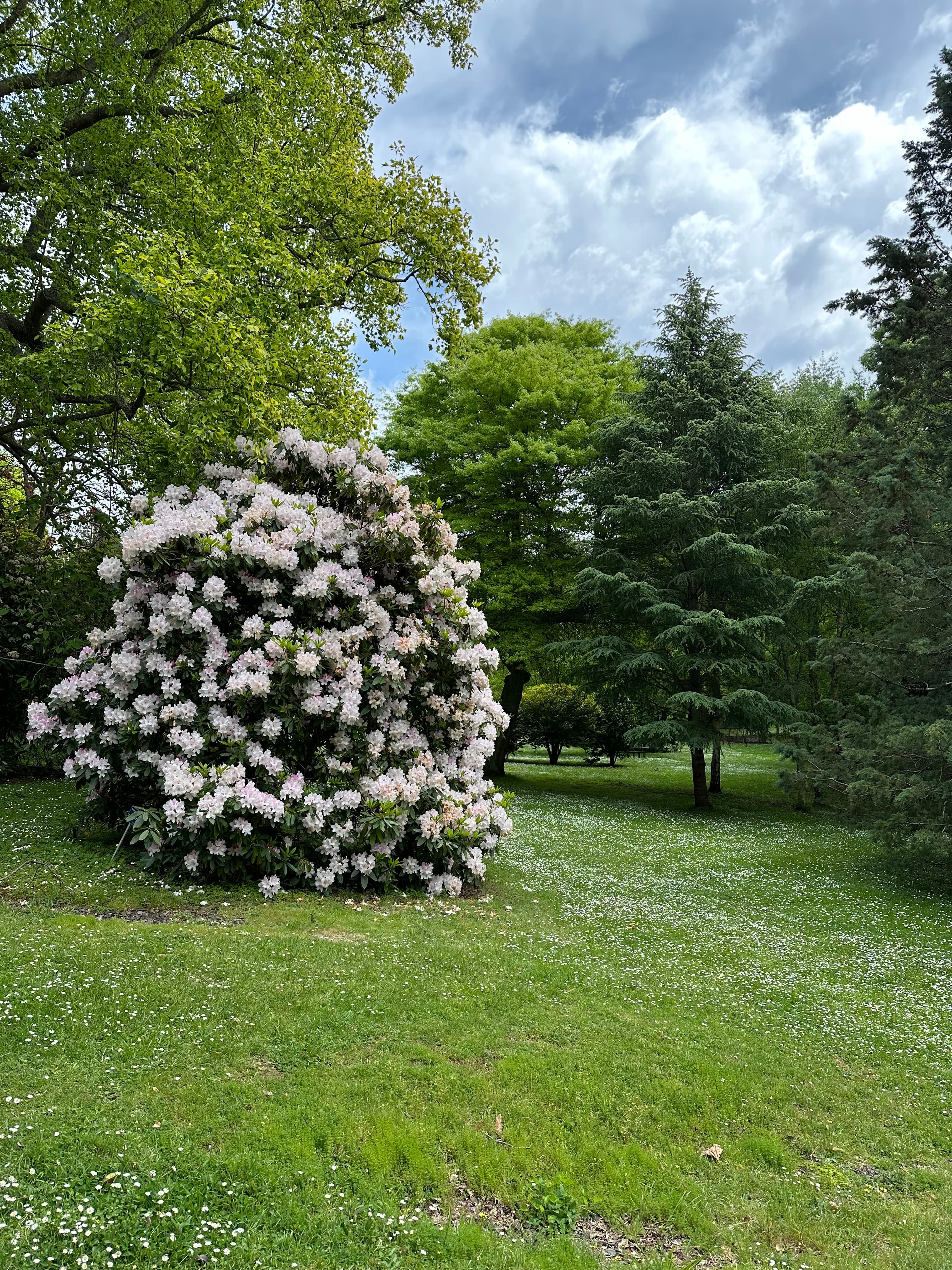 Kids Friendly-Emerald Lake (Family Bushwalking) - Free