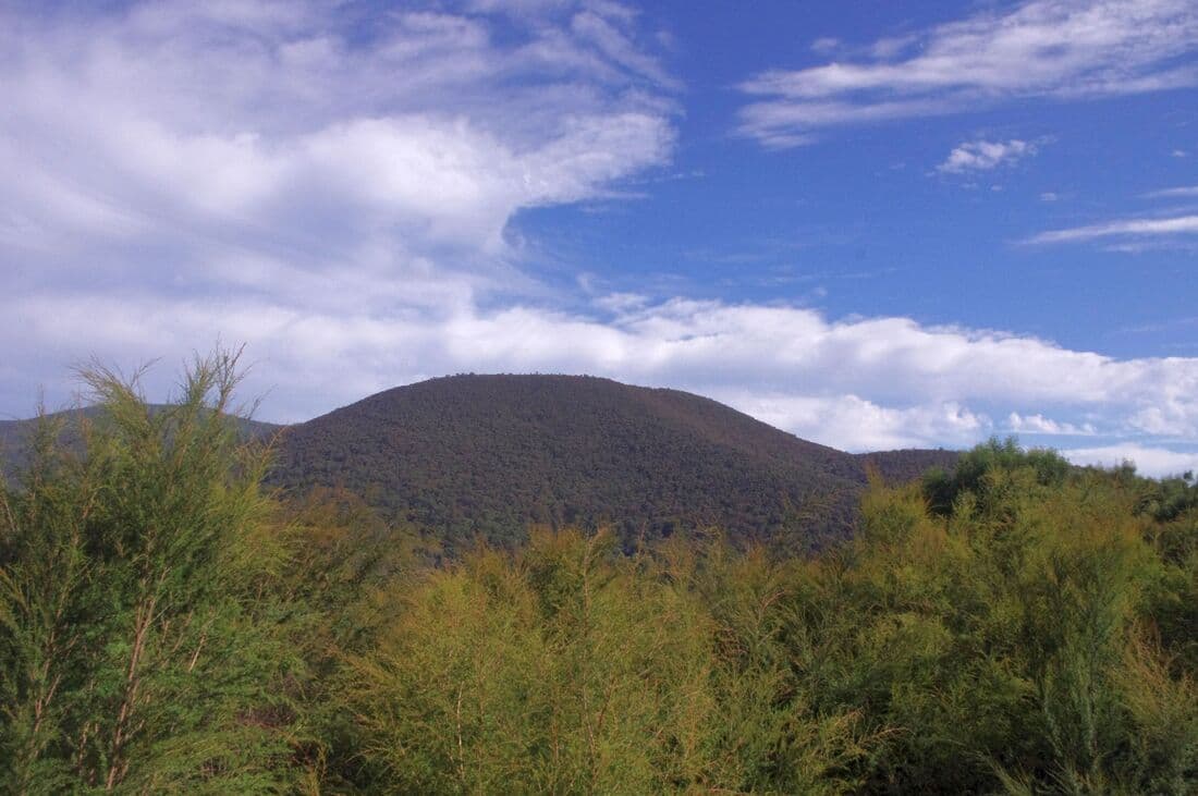 Little Joe Summit - Warburton