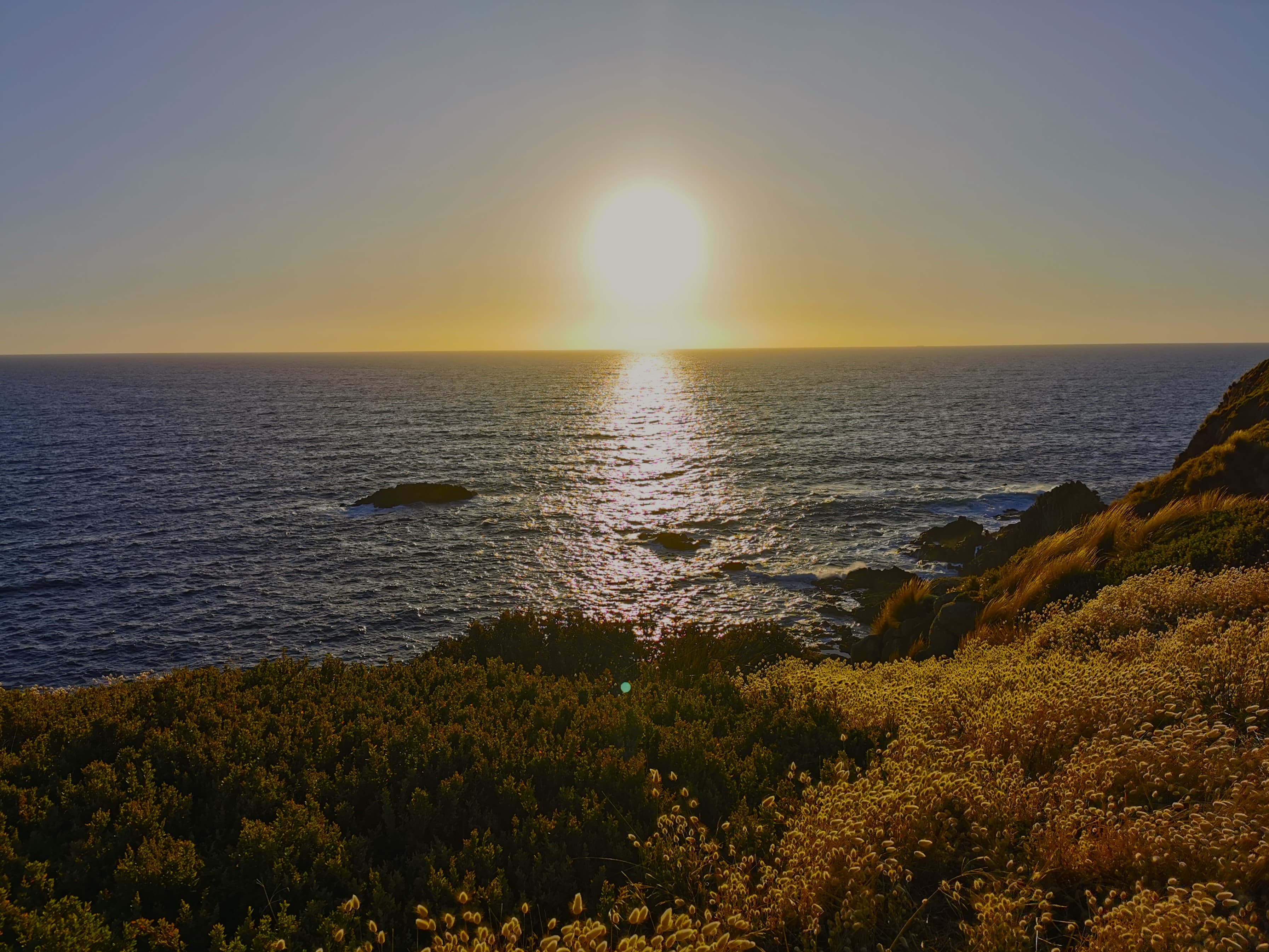 Walking Under the Moon Light