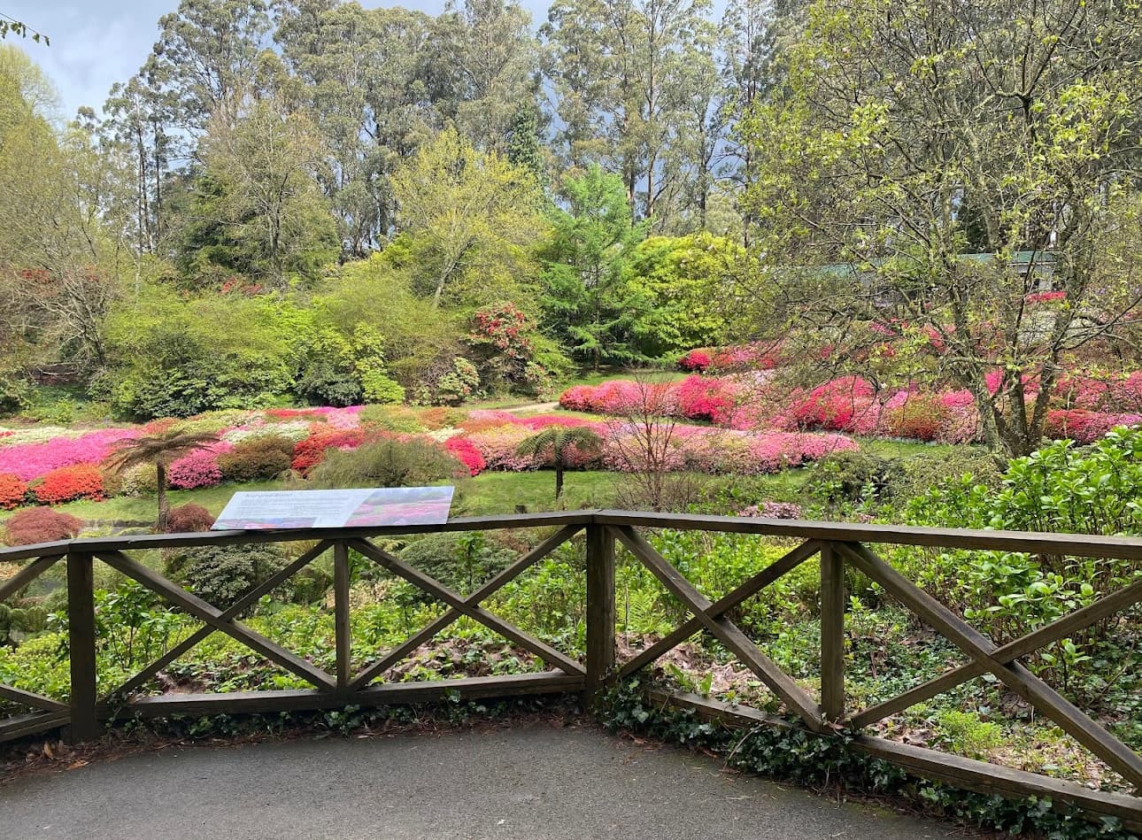 Kids Friendly- Dandenong Ranges Botanic Garden