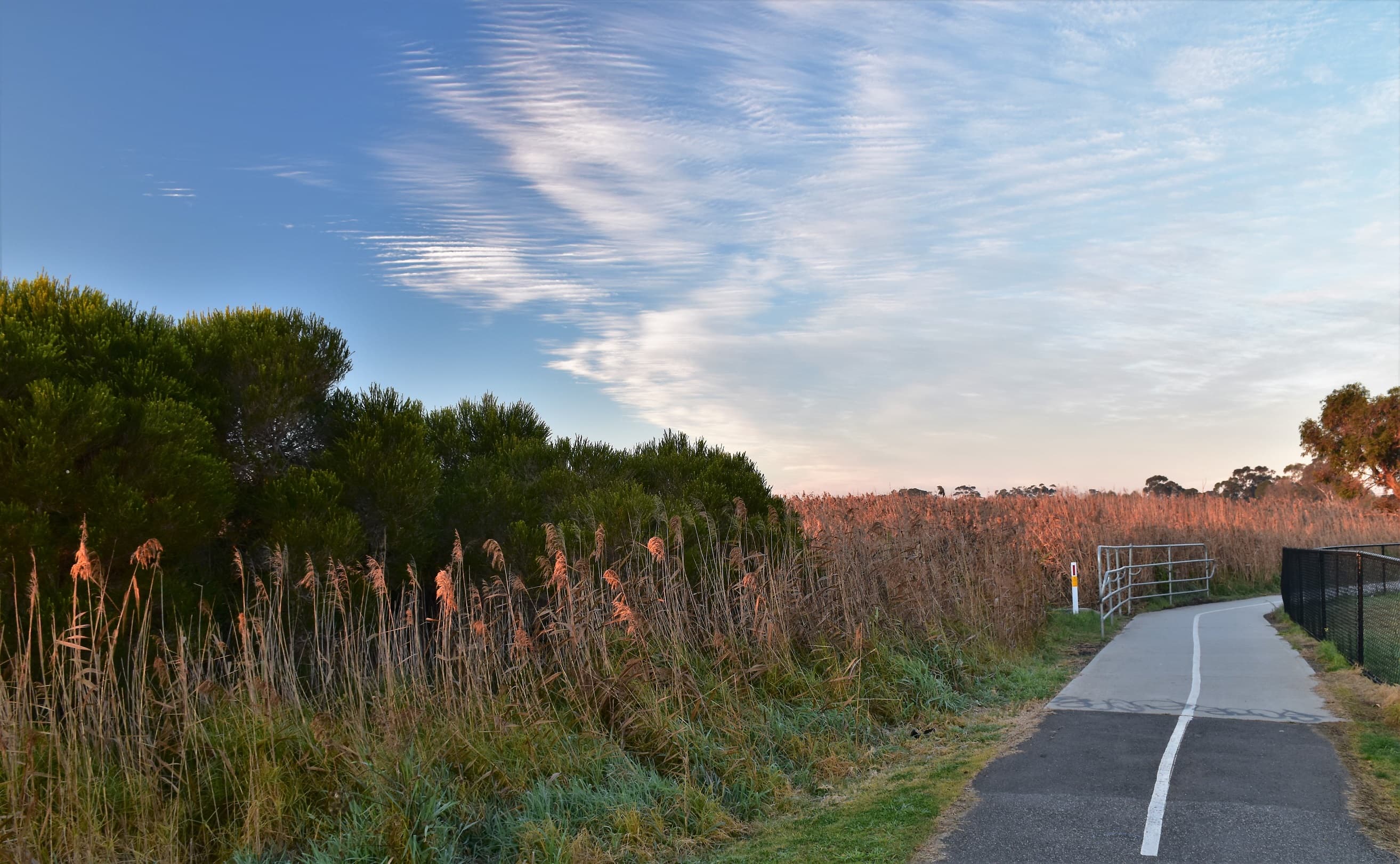 Frankston-Seaford Rail Trail - Peninsula Link Trail Cycling