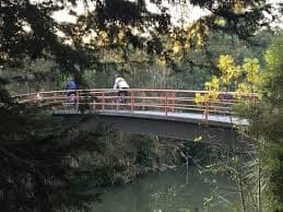 Gardiners Creek trail- Waverley rail path cycling