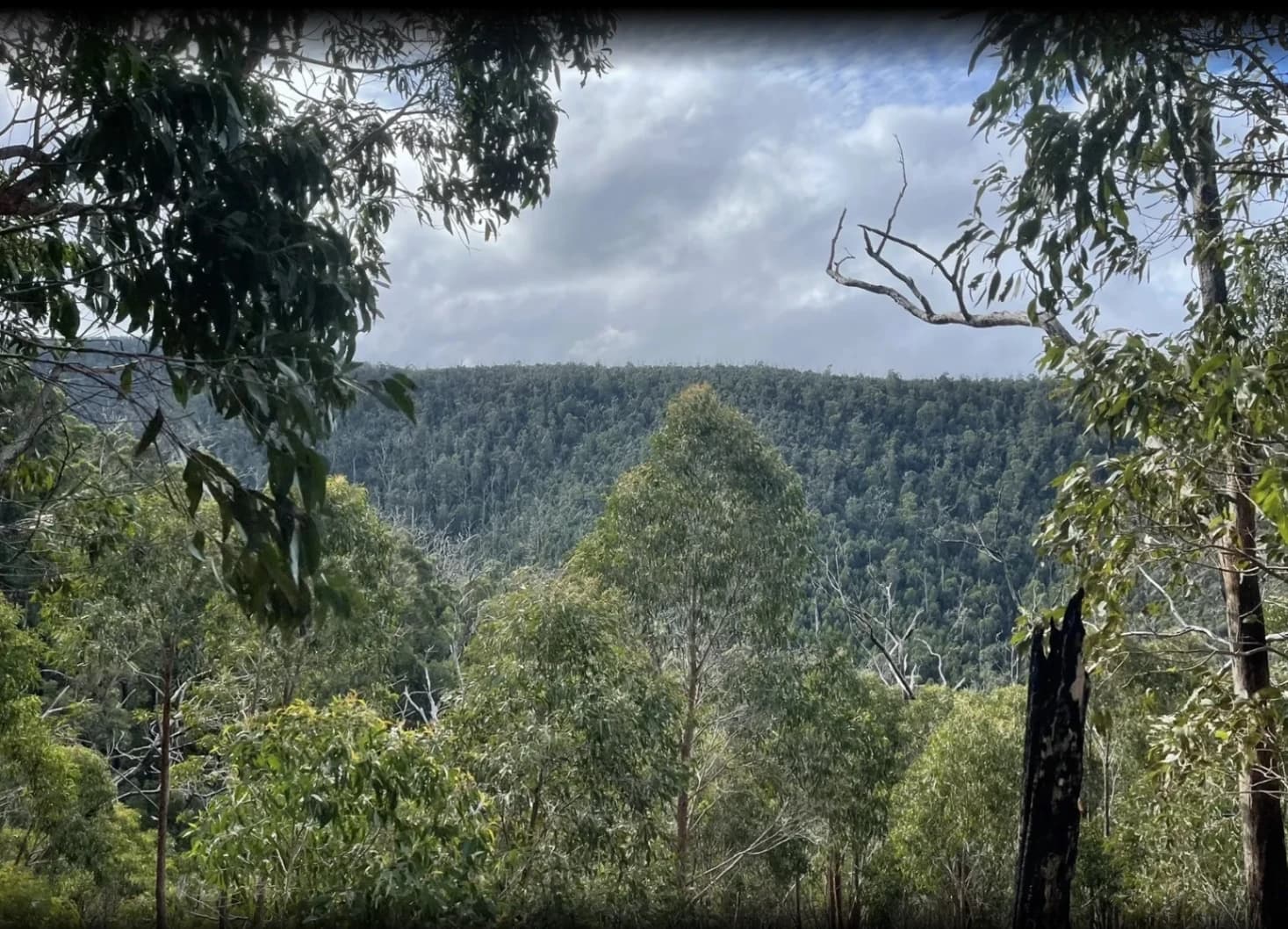 Kinglake park peaks
