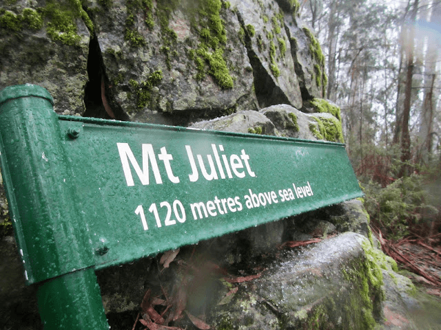 Mount Juliet