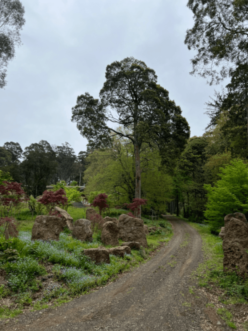 Dom Dom creek loop
