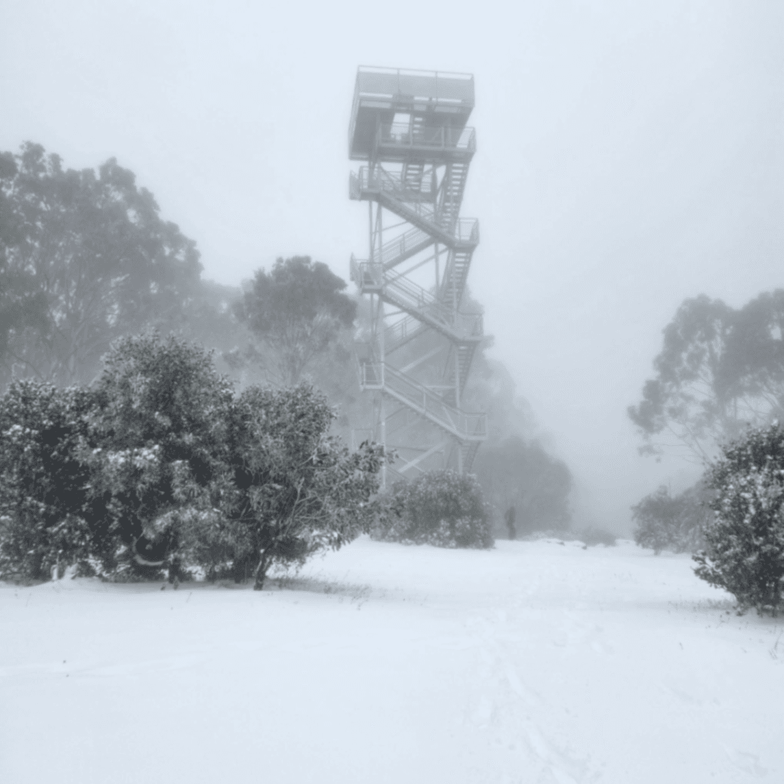 Mt Donna Buang