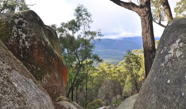 Four Brothers Rocks Loop