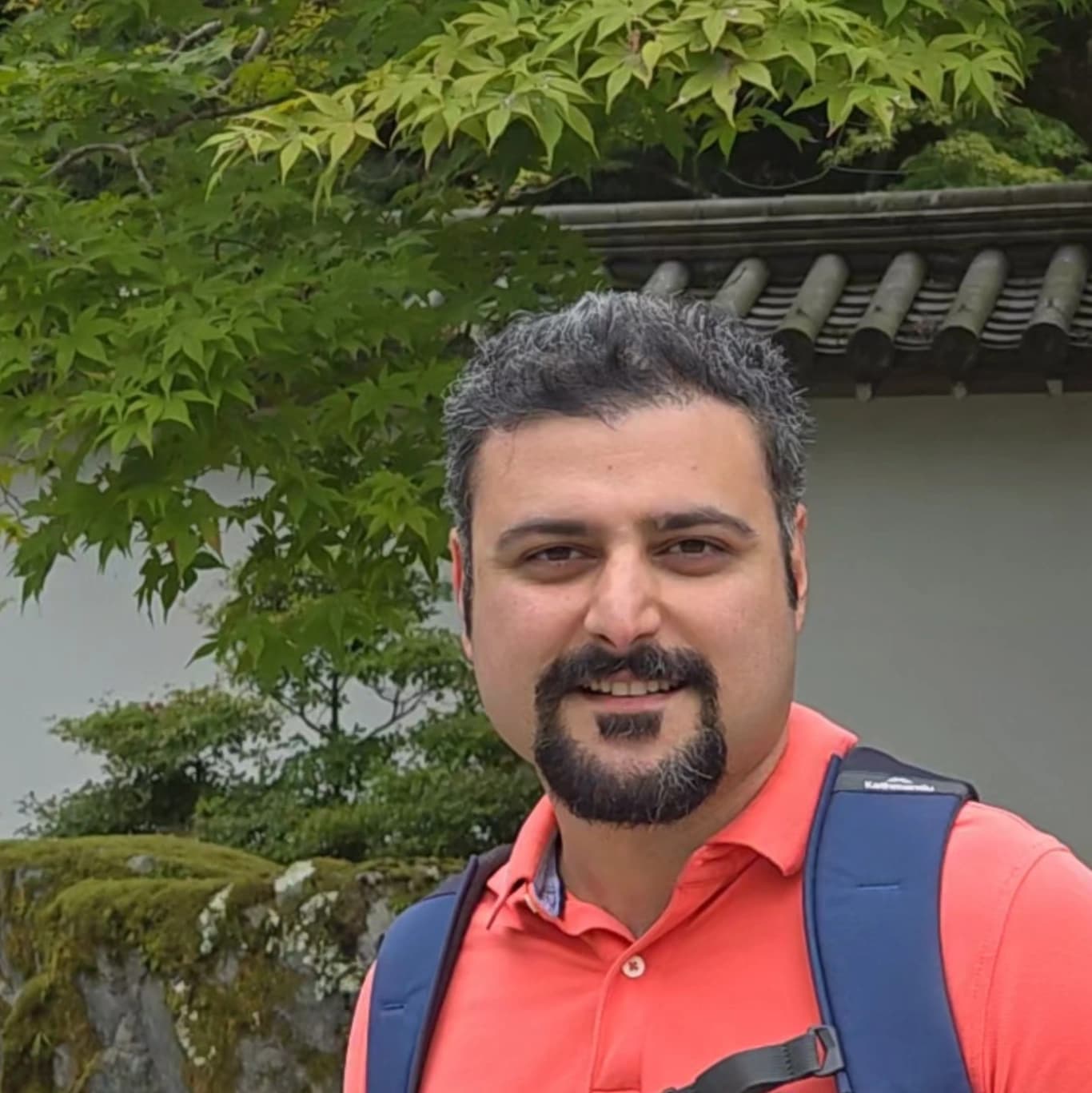 Soheil M