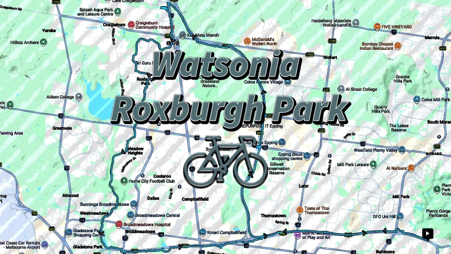Watsonia - Roxburgh Park