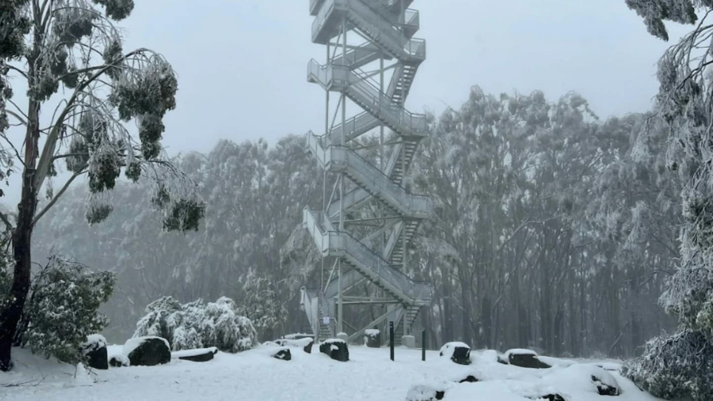 Mount Donna Buang
