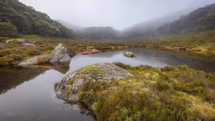 Three Summits - Baw Baw National Park