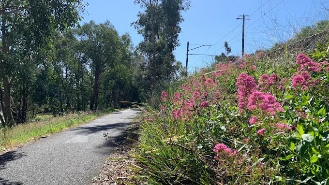 Dandenong Creek - Ringwood_Belgrave Rail Trail cycling