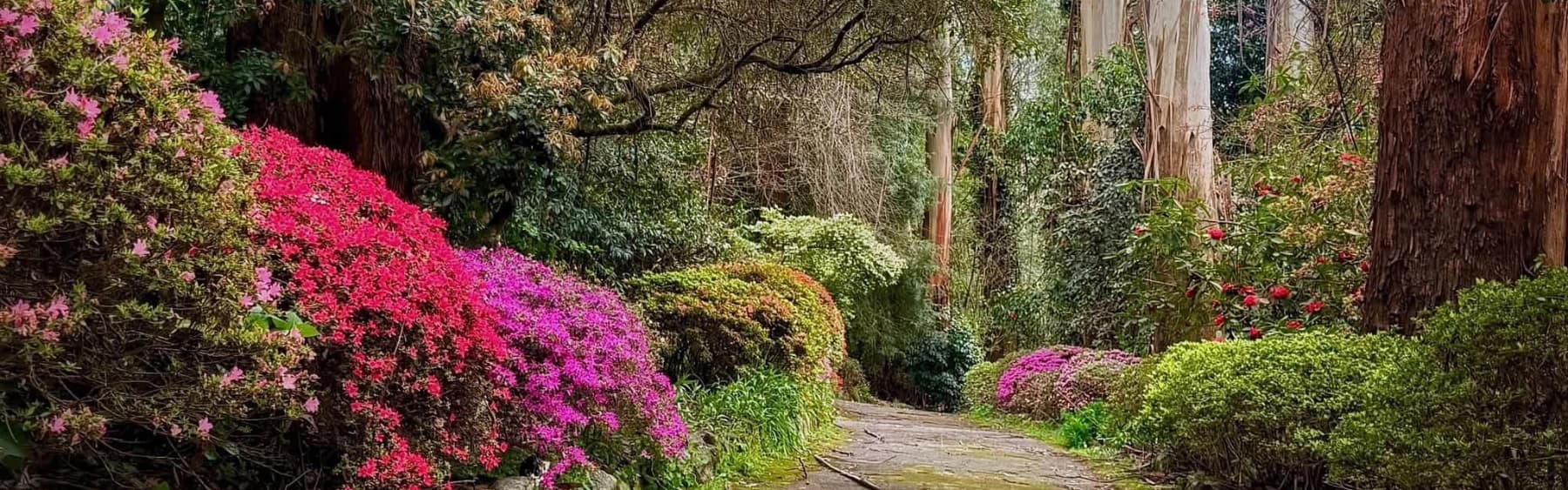 🌸 Sherbrooke Forest & George Tindale Gardens 🌿