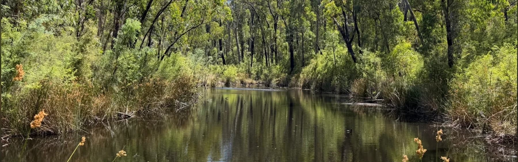 Bunyip State Park