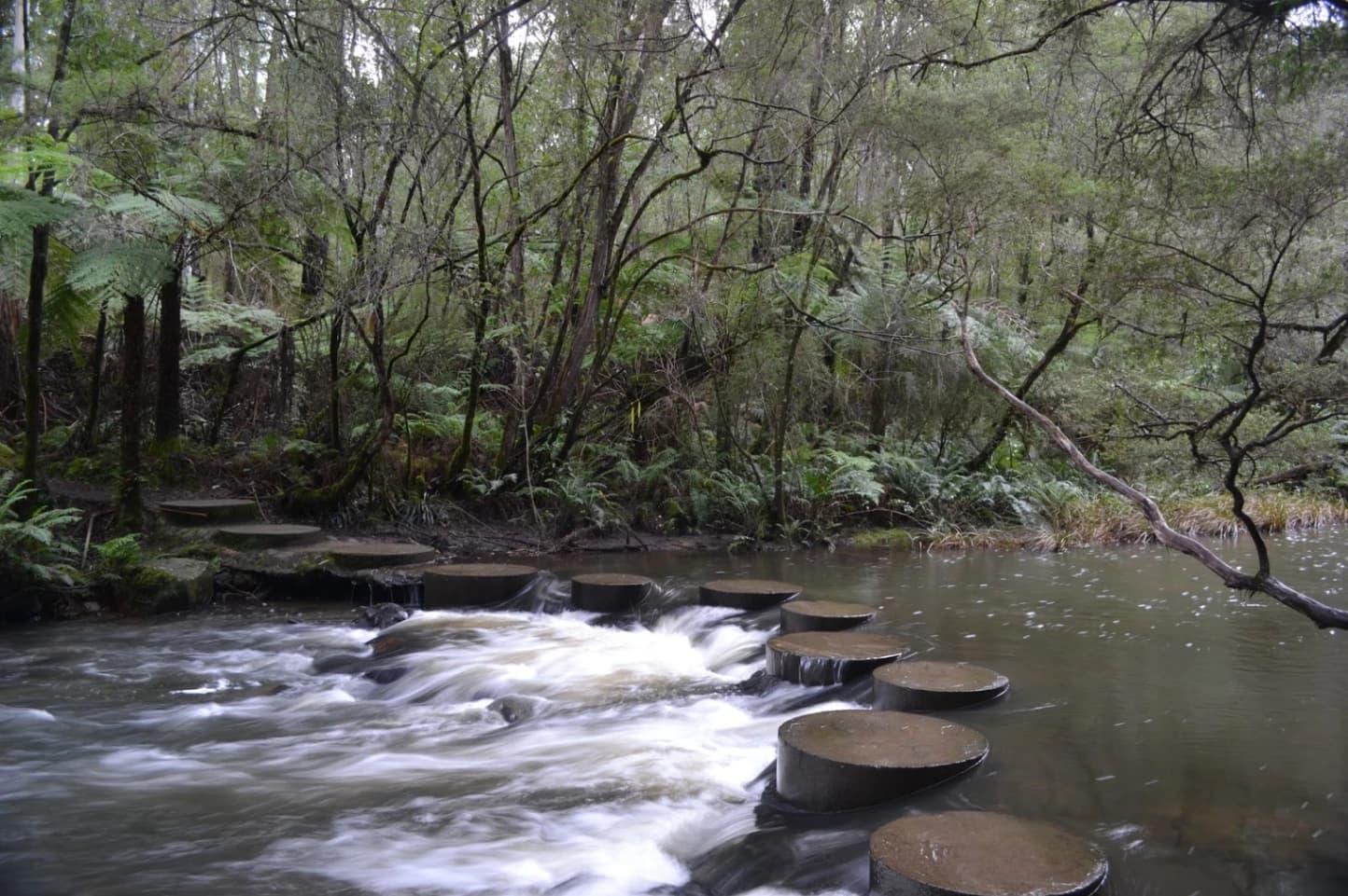 McMahon Tunnel Peninsula