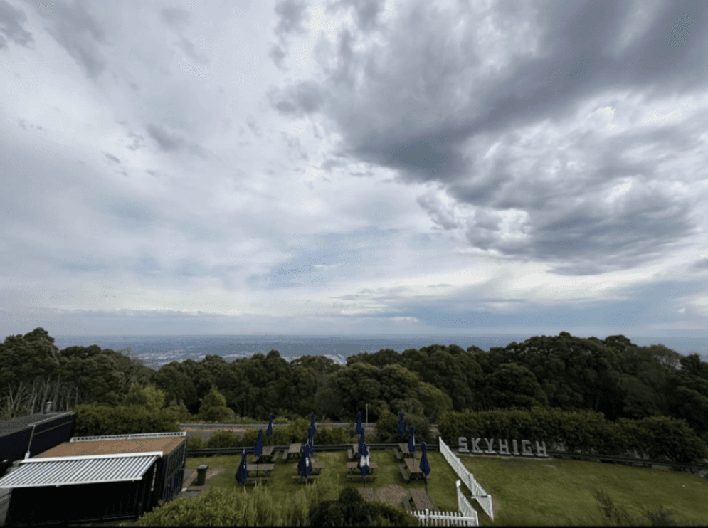 Kids Friendly Bushwalking- Skyhigh Dandenong 