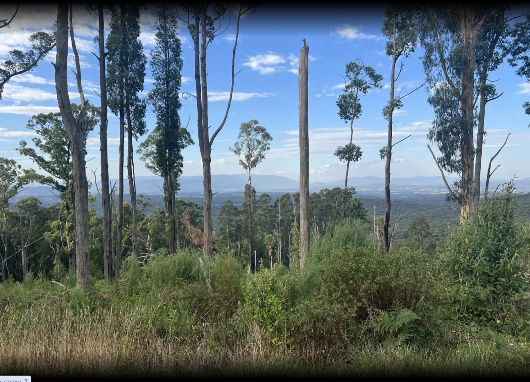 Golf Course and Simmons Track