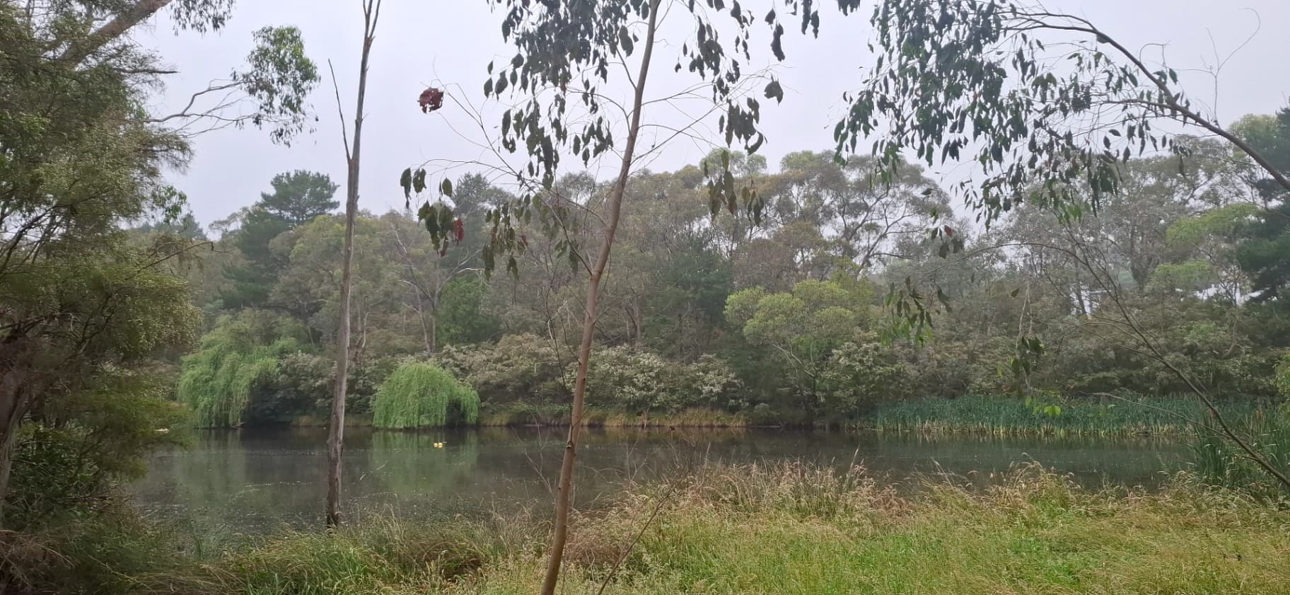 Yarra River Wonga Park