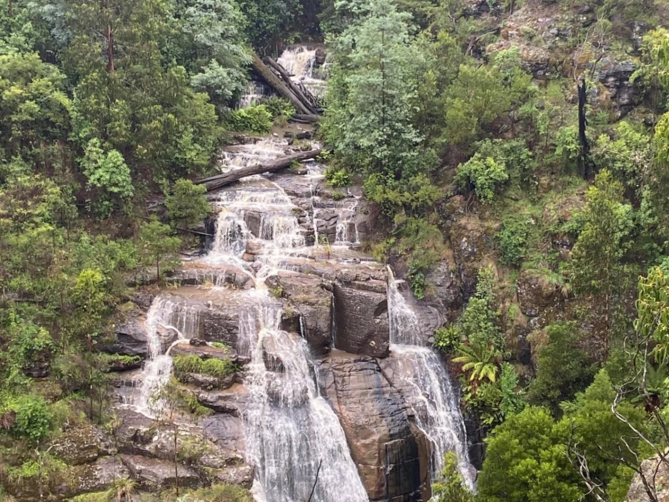 Masons Falls - Mount Sugarloaf circuit
