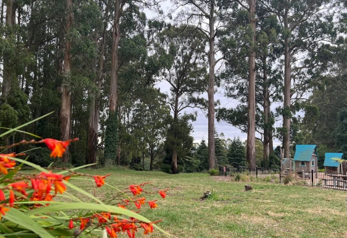 Family Bushwalking & Picnic- Olinda Playspace