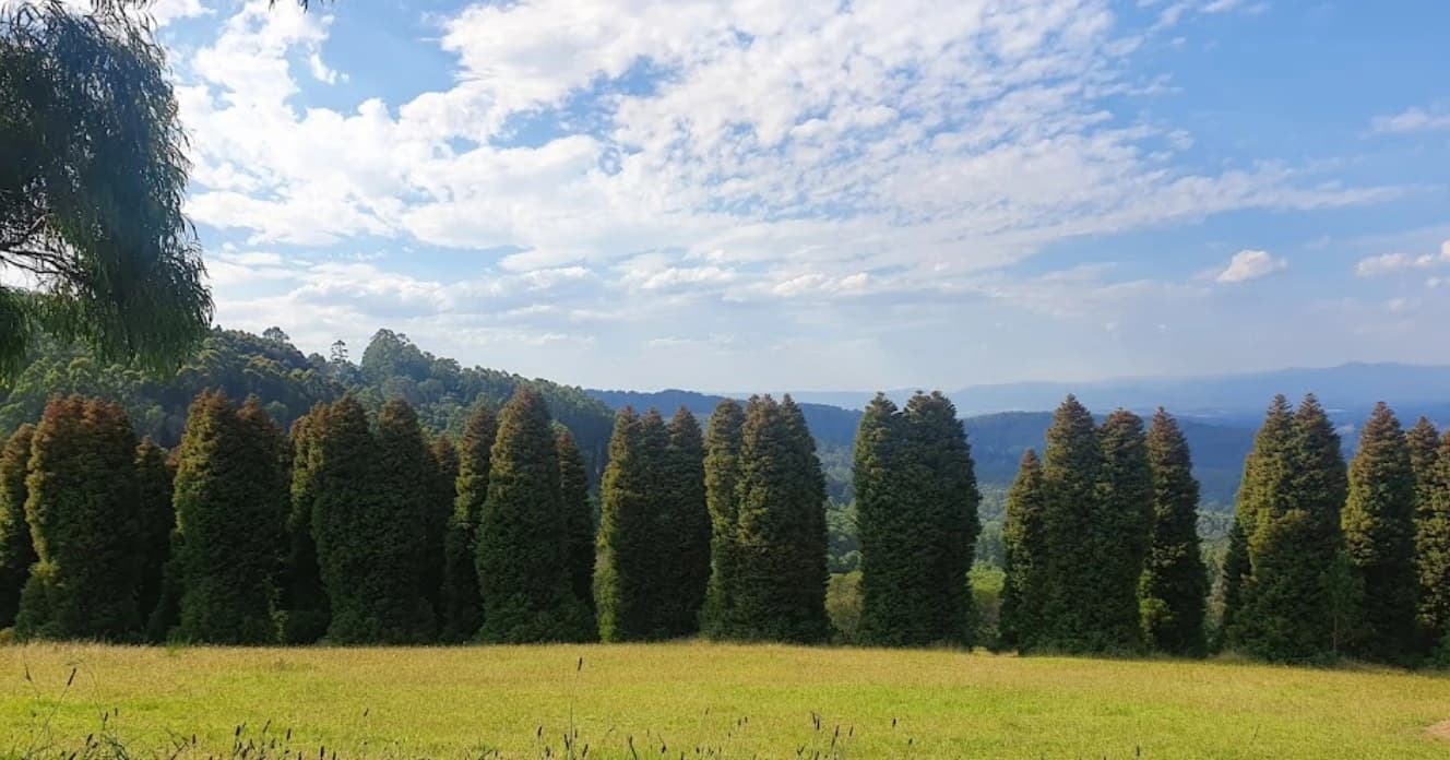 Olinda Falls and Valley Picnic Loop