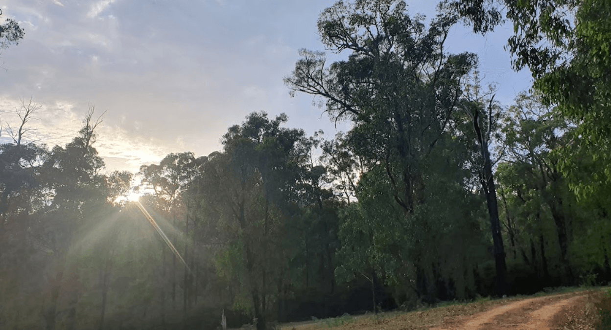 Silver Creek