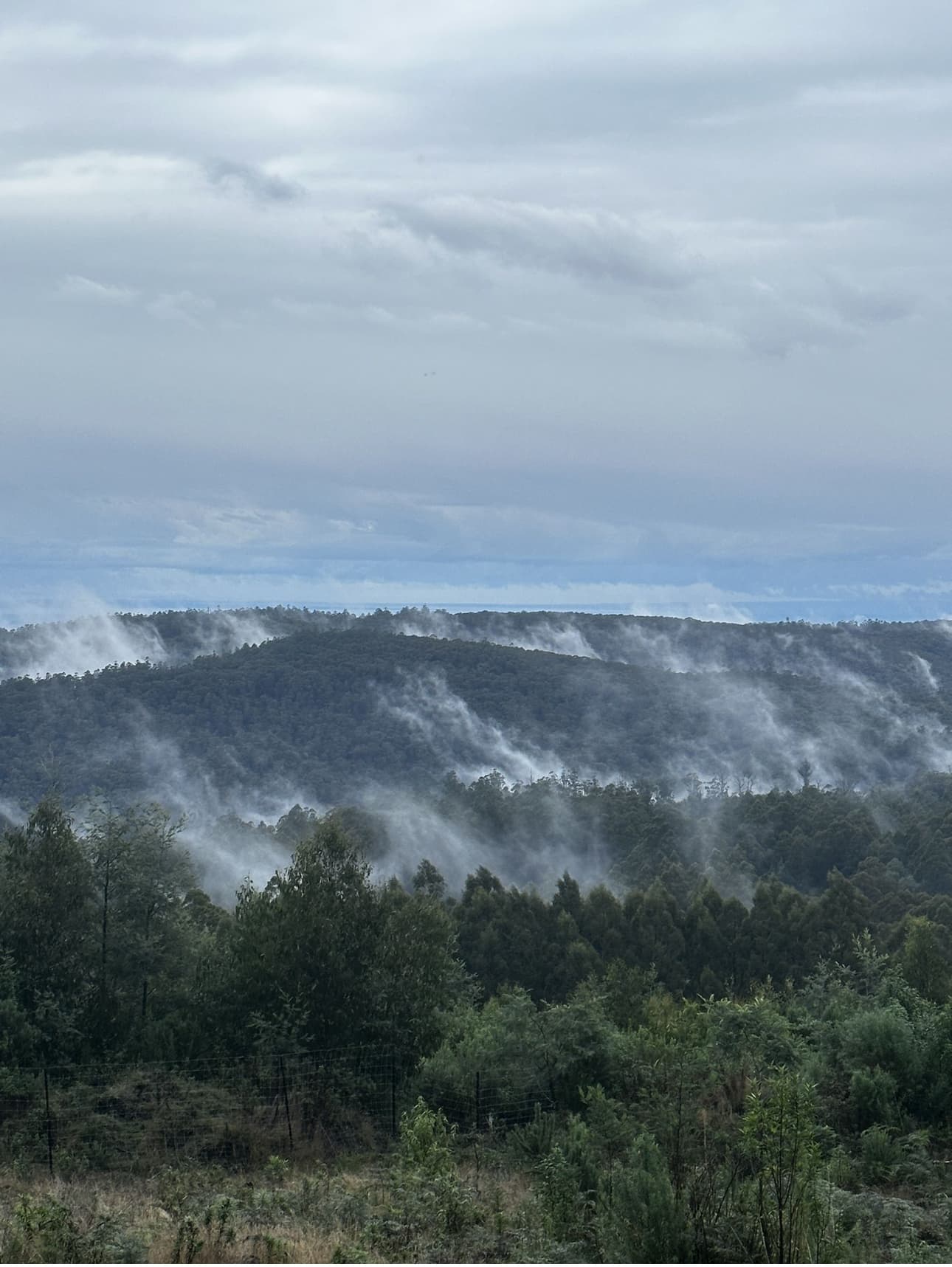Mount Beenak Loop