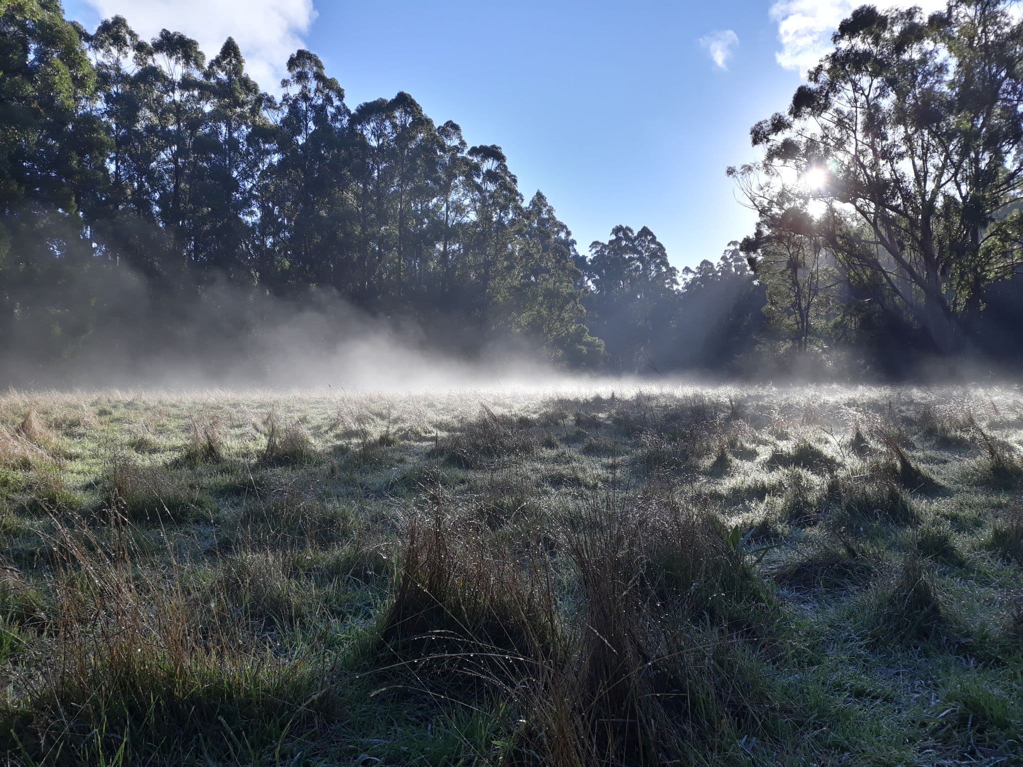 Bushwalking 567- Sherbrooke Hackett and Lloyds Track