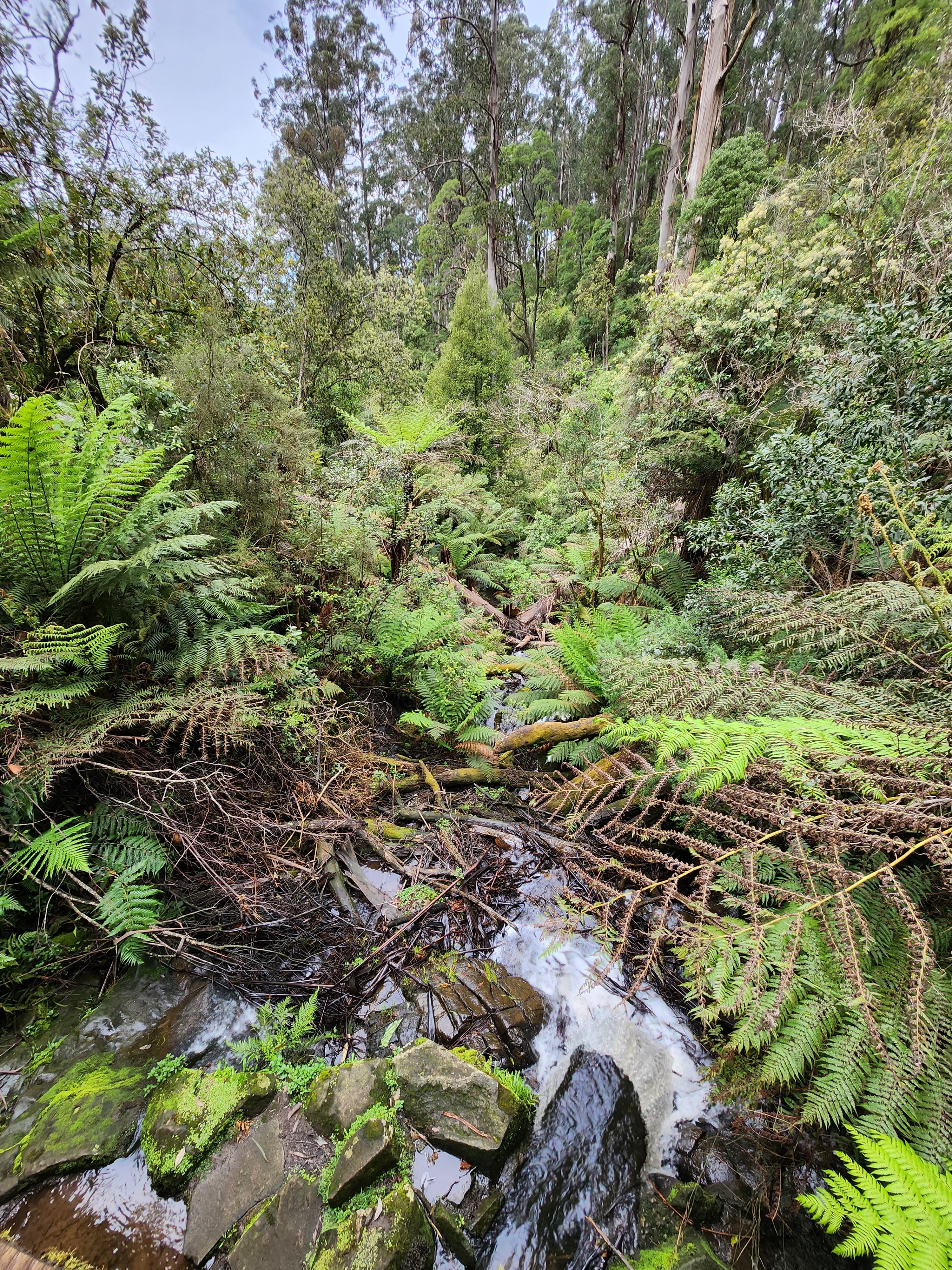 Hall, Paddy, Welch, Yards, Ridge, Hackett and Lloyds Track