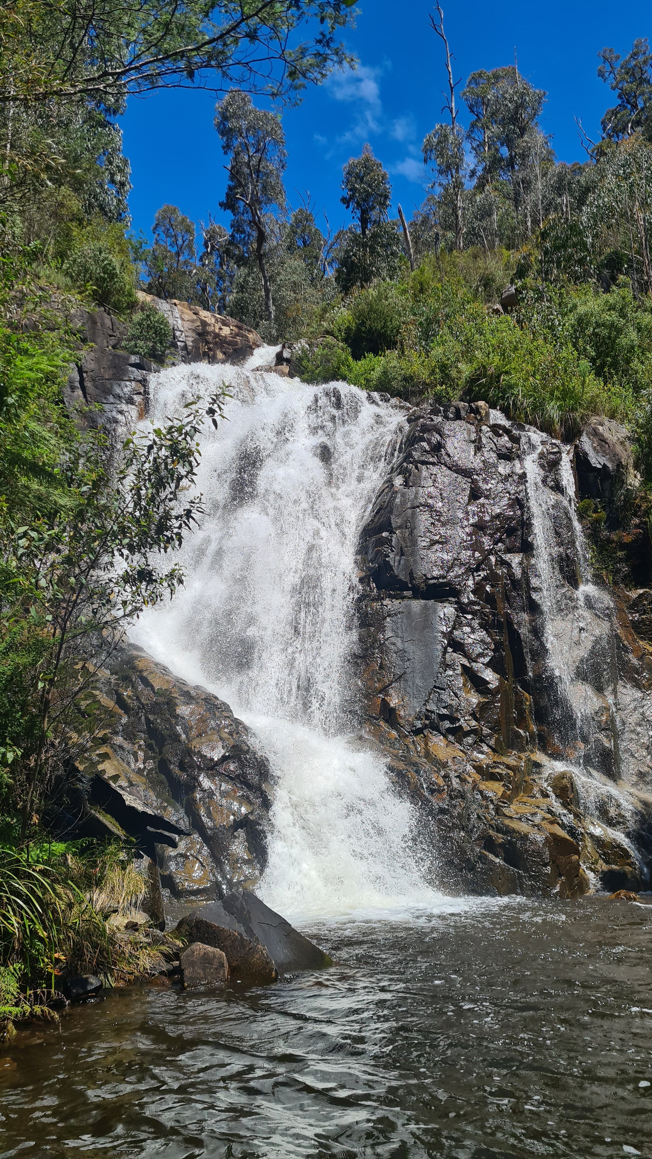 Steavenson Falls