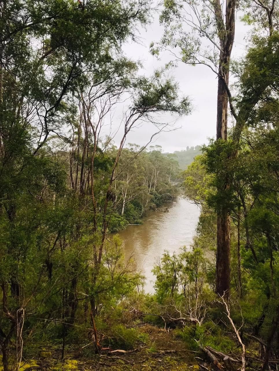 Yarra River Heritage Walk