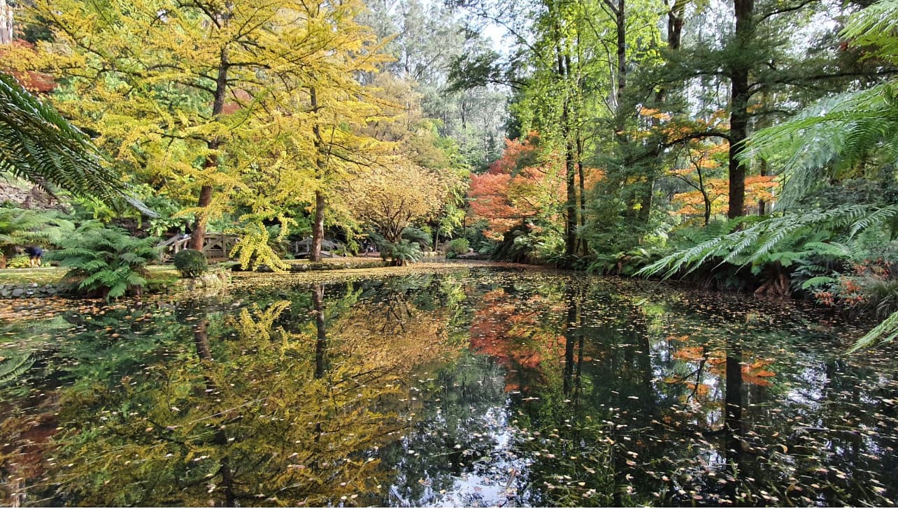 Alfred Nicholas Garden and Sheerbrooke Track