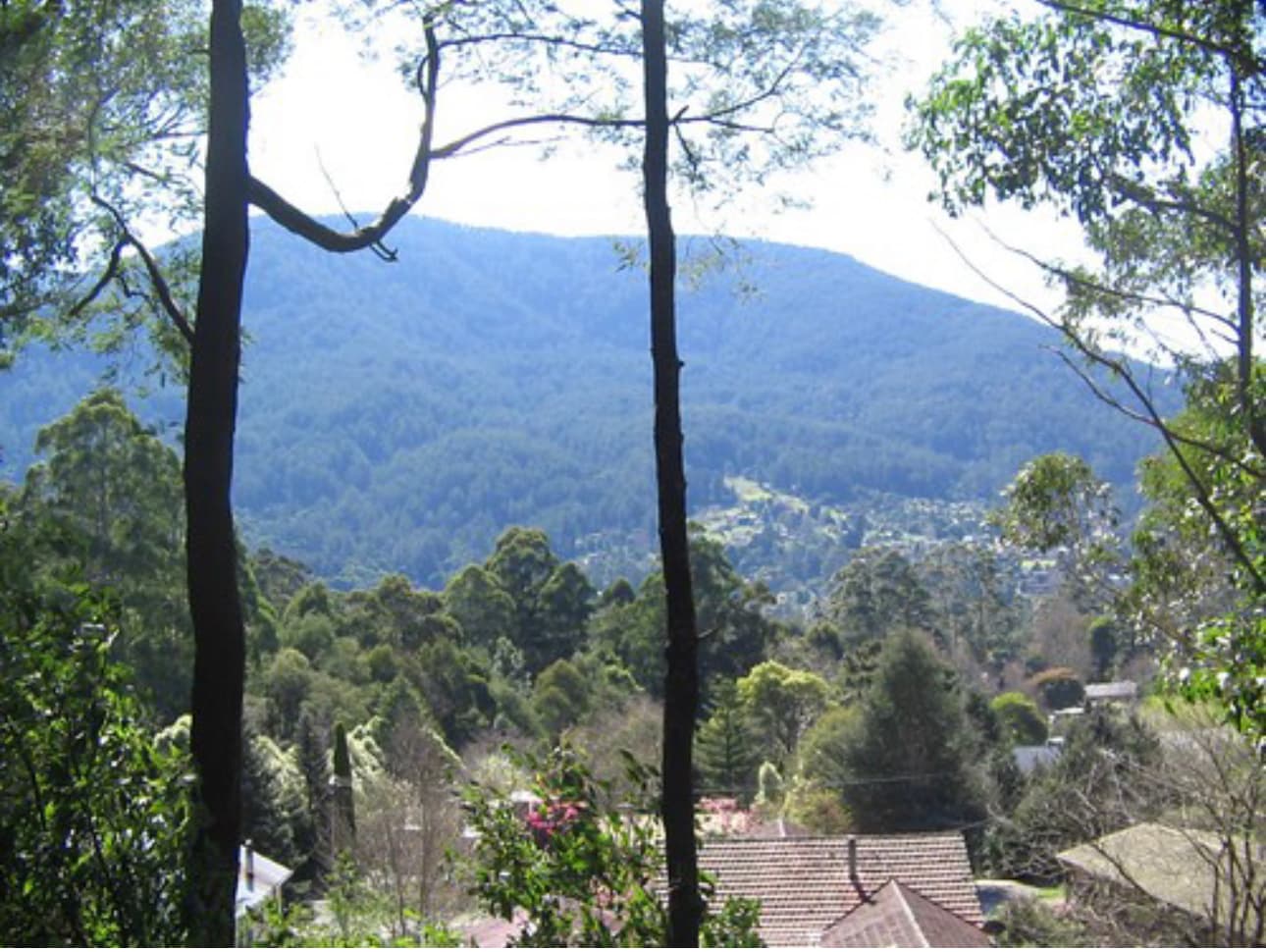 Kid Friendly-Blackstairs and Warburton River Track