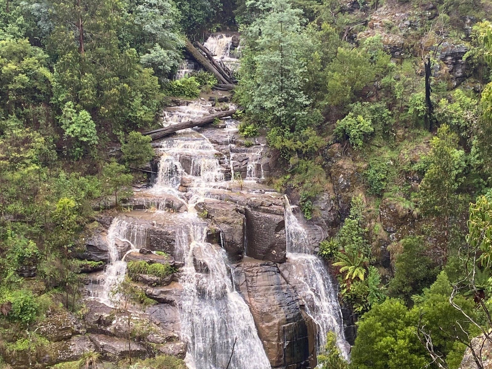 Masons falls and Mount Sugarloaf circuit