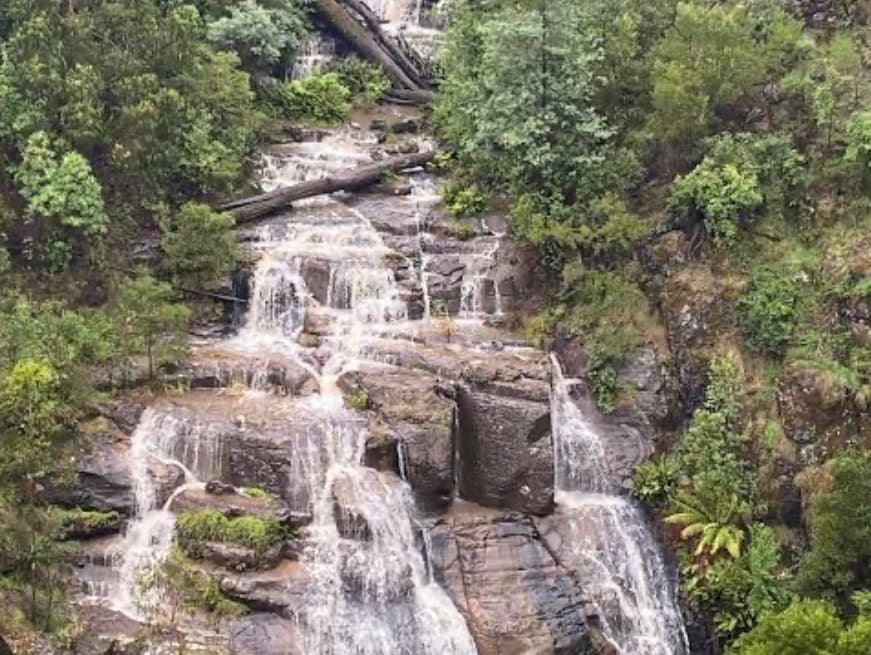 Kid Friendly - Mason Falls - Kinglake National Park