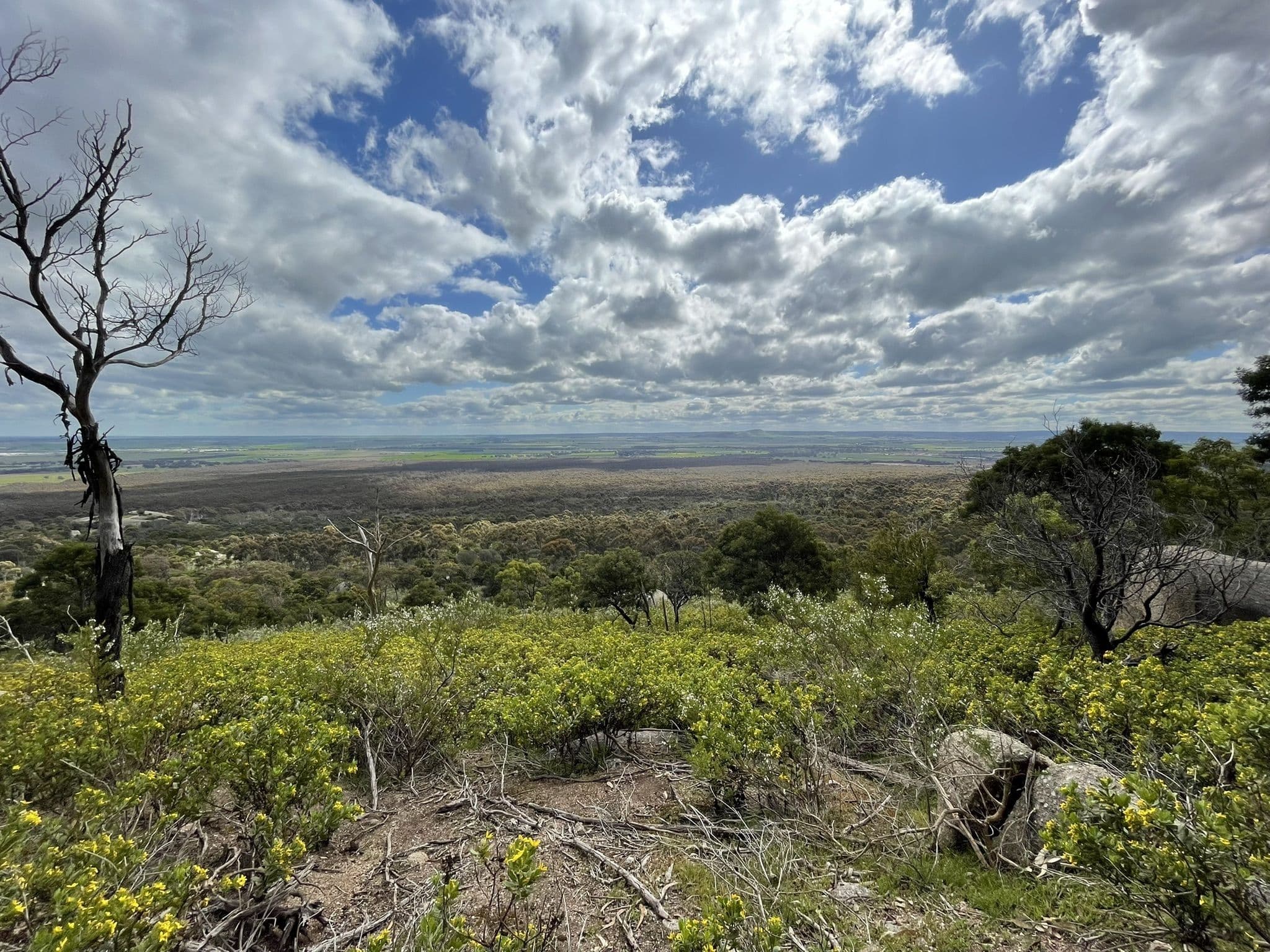 Flinders West Northern Saddle Loop