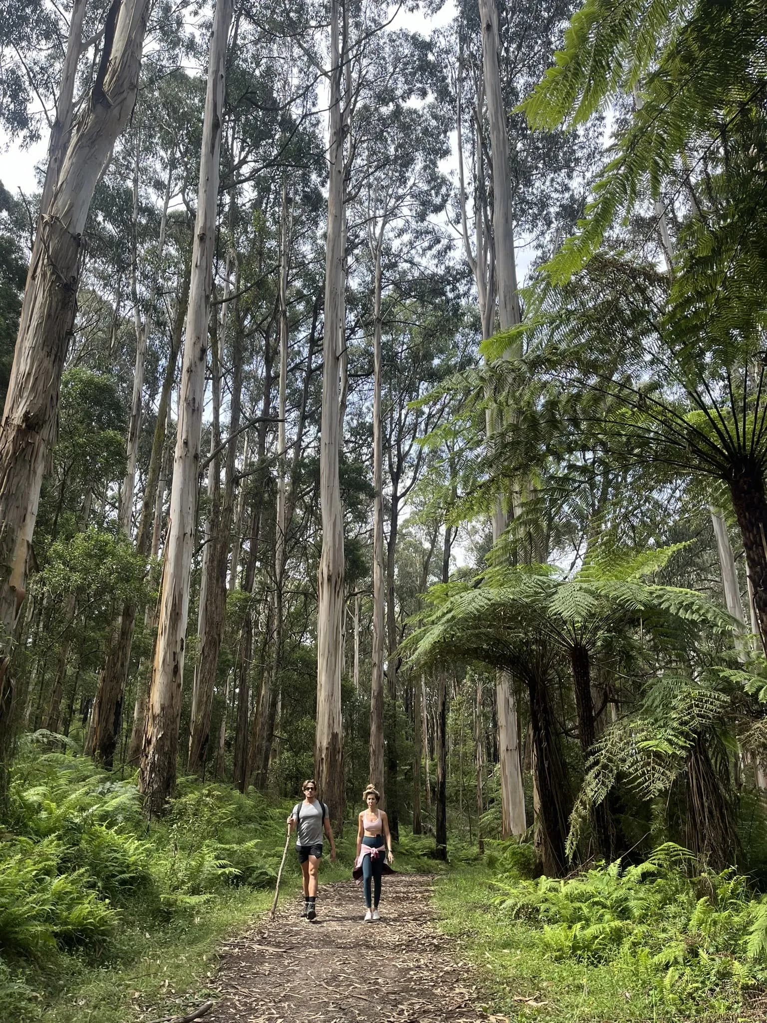 Olinda Reserve Loop