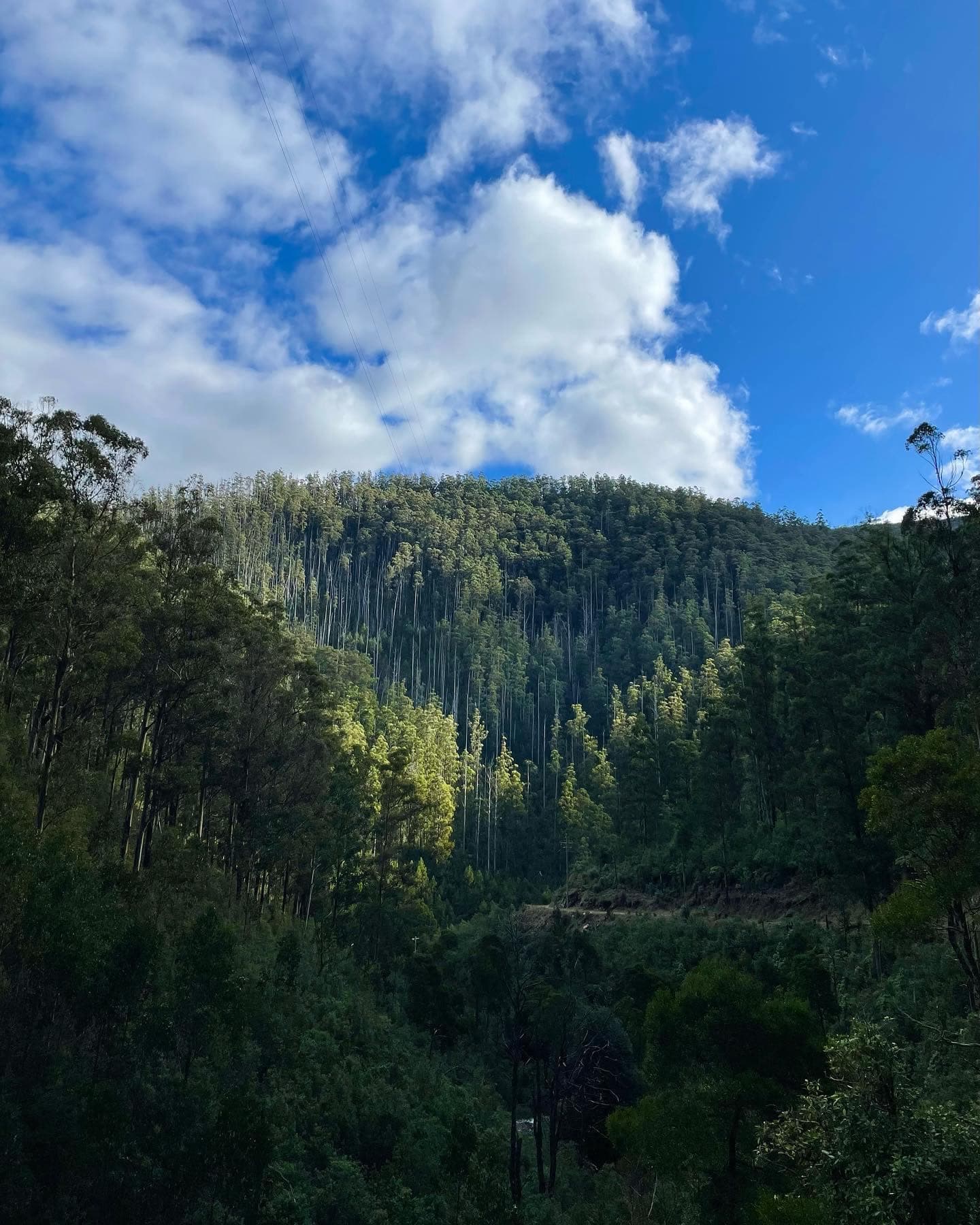 Rubicon Valley& Waterfall