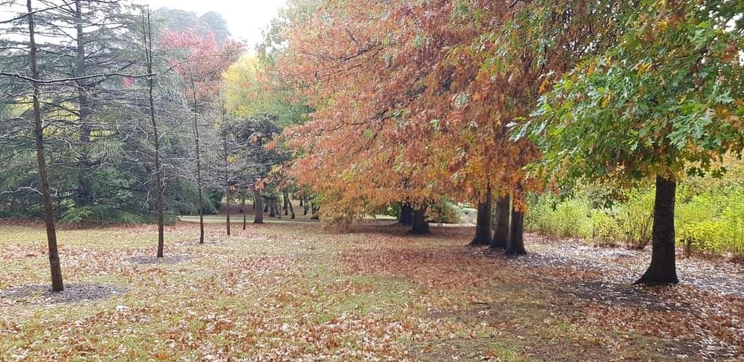 Eastern Dandenong Rail Trail (15.1km)