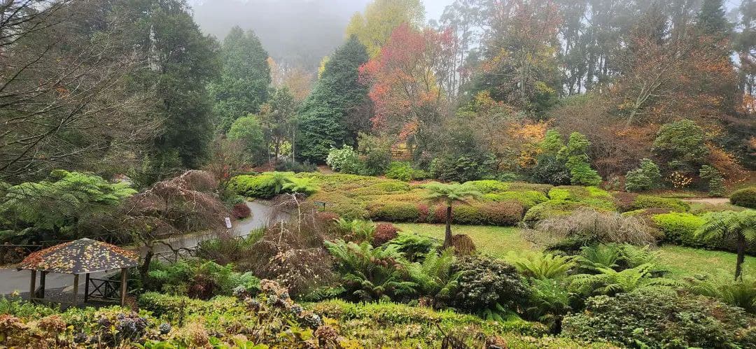 Autumn in Dandenong Ranges Gardens