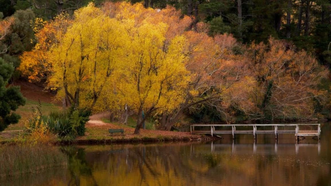 lake Daylsford - lake Jubilee loop