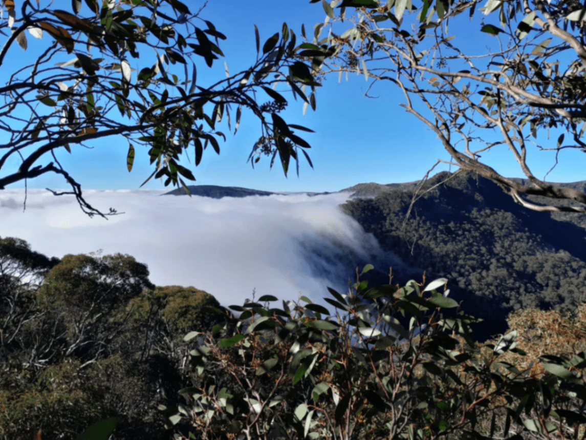 Mount Speculation Via the Crosscut Saw Loop