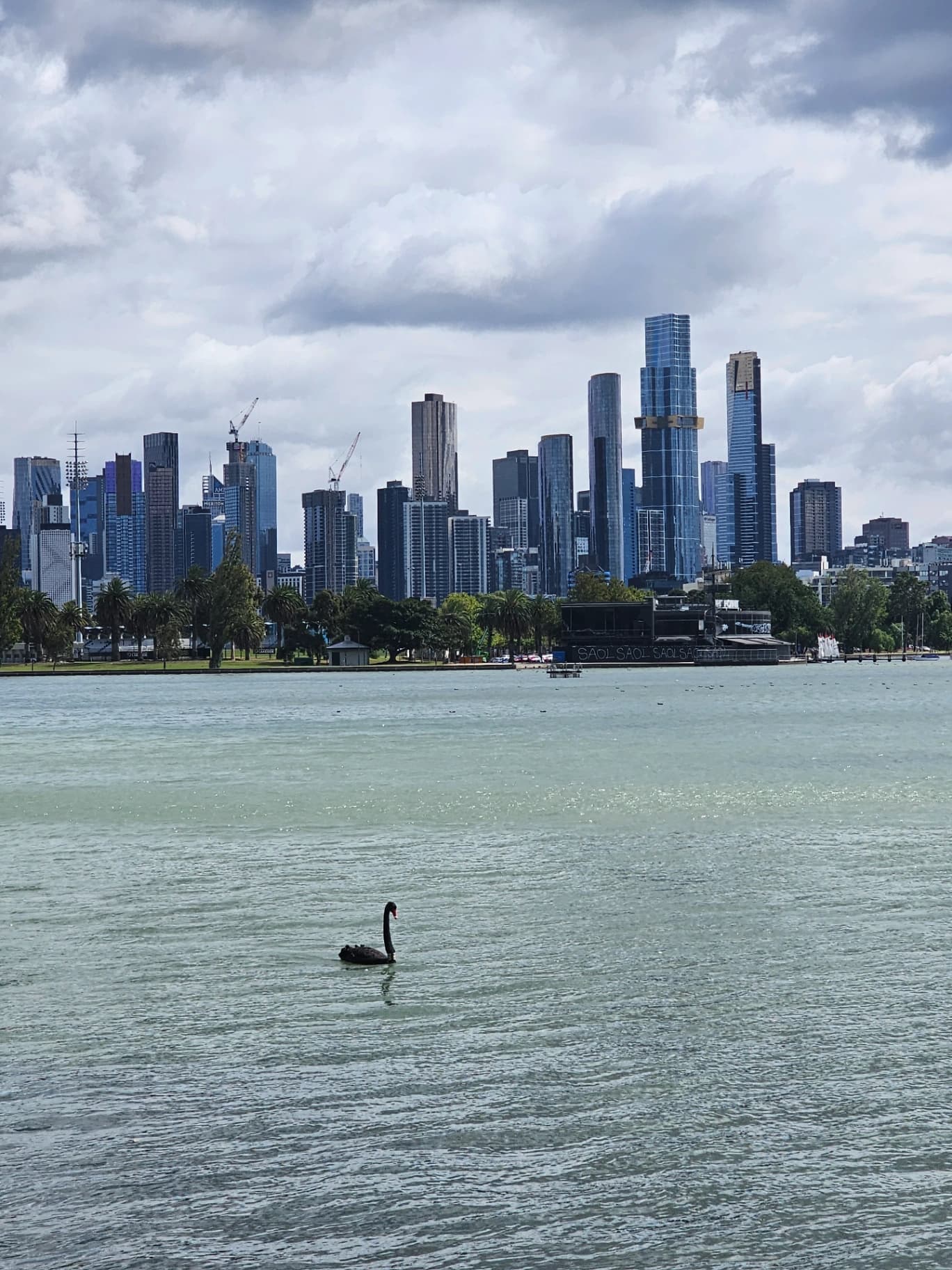 Albert Lake - Sandringham Beach - Cycling