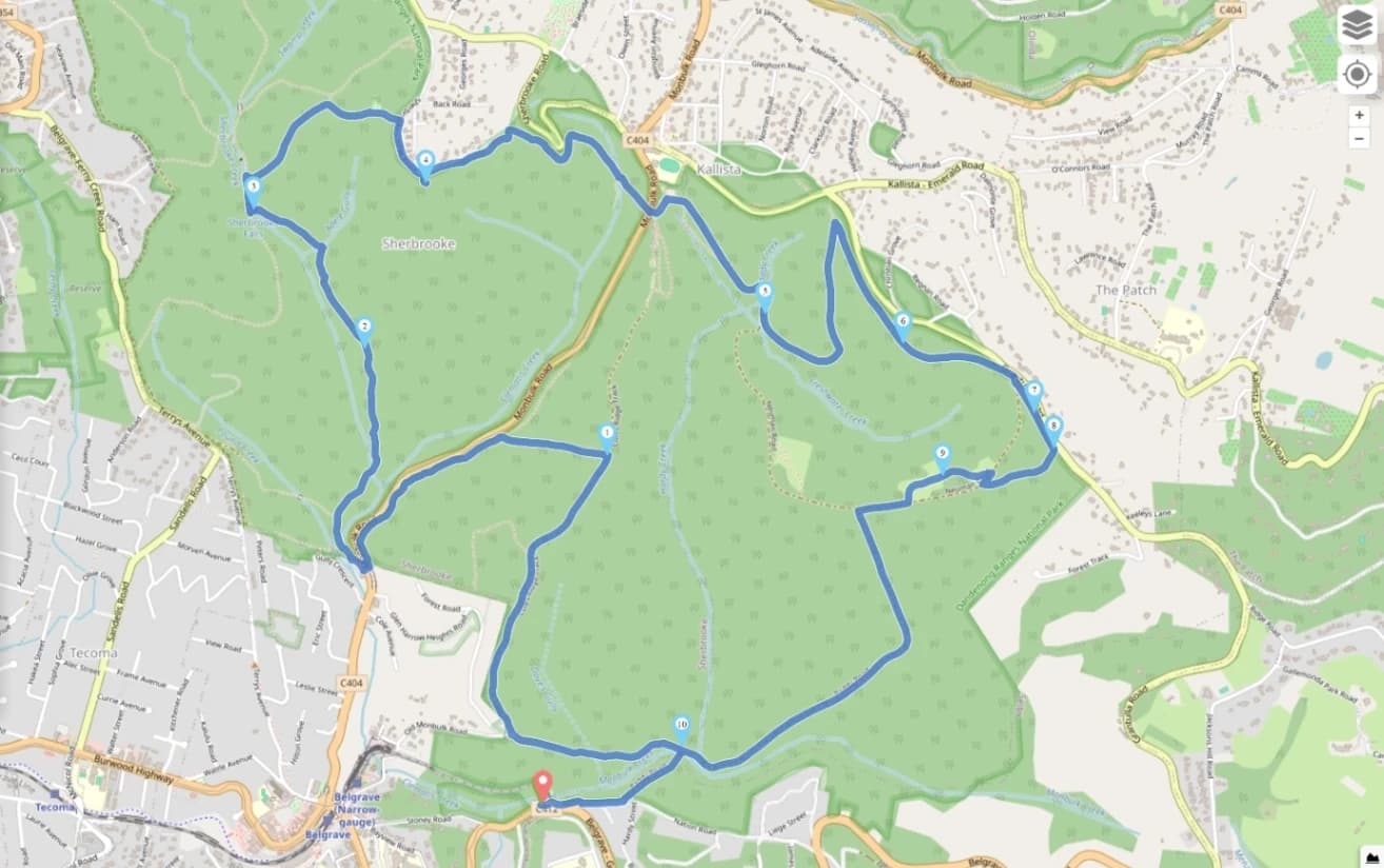 Lyrebird Walk, Neuman, Paddy, Coles Ridge, and Sherbrook Falls Loop