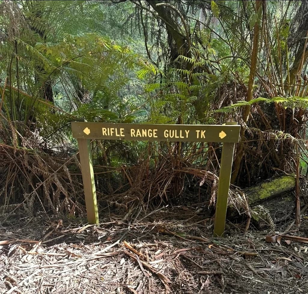 Rifle Range Gully Loop