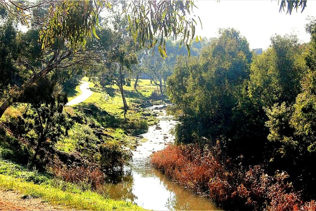 Merri Creek Trail