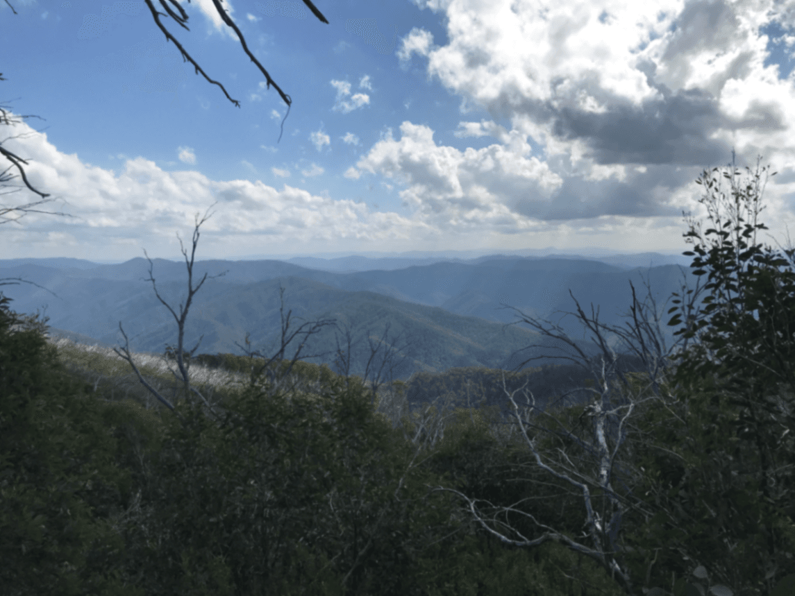 Mt Donna Buang